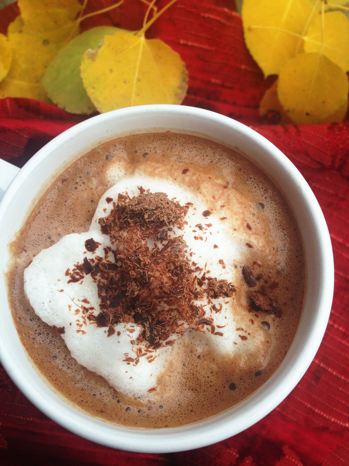 Hot Chocolate Protein Recipe